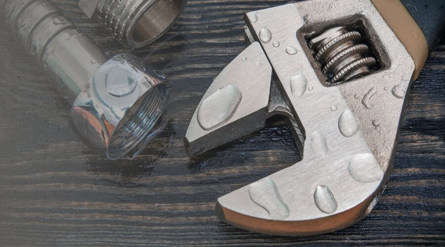 Why choose BlueVista Team for water damage restoration in Beverly Hills